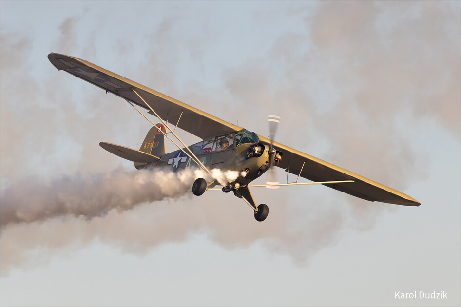 Szd-Allstar-Pzl-Glider-80th-Anniversary-Bucker-Jungmann